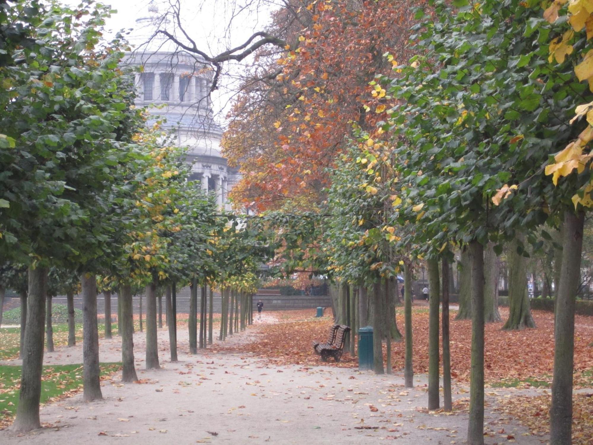 B&B A Cote Du Cinquantenaire Etterbeek Dış mekan fotoğraf